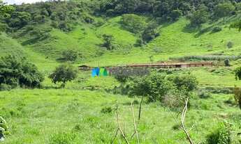 Imagem 4: FAZENDA À VENDA - 135 HECTARES - RIO CASCA (MG
