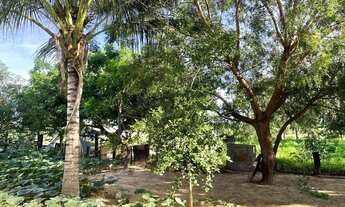 Imagem 5: Sitio de 7 hectares na região barreiro branco no município de Nossa Senhora do L