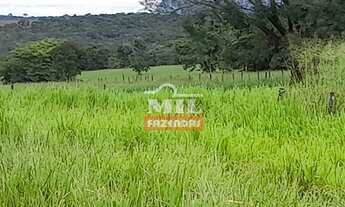 Imagem 7: Fazenda Em Paraúna/GO - 27 alqueires ( 130 hectares