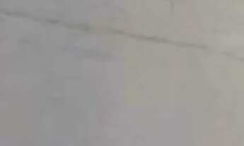 Imagem 4: CASA TÉRREA - VILA MADALENA - SP