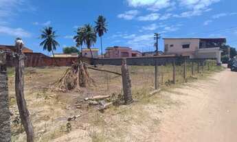 Imagem 3: Terreno Maragogi