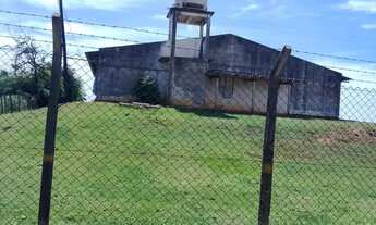 Imagem 5: 5 alqueires em Elias Fausto