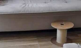 Imagem: Vendo 2 casas no bairro monte alegre