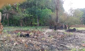 Imagem 4: SITIO NO MARACANÃ