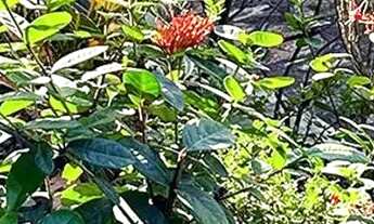 Imagem 2: Aluga-se consultórios em individual à partir de R$ 100,00 a diária - Dentista e Médico Mob