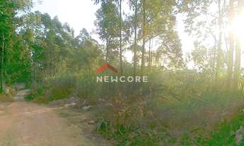 Imagem 7: Lote em Estrada dos Estudantes - Granja Viana II - Cotia/SP