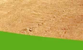 Imagem 7: Condições especiais só para hoje reserve seu terreno agora!