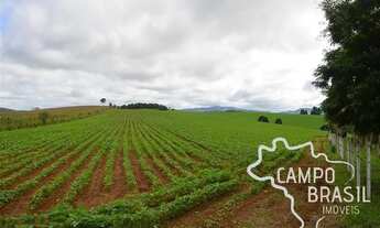 Imagem 7: Linda Fazenda cinematográfica!!! Com cachoeira e plantações