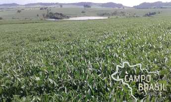 Imagem 5: Linda Fazenda cinematográfica!!! Com cachoeira e plantações
