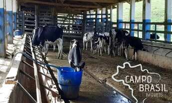 Imagem 6: Fazenda no Sul de Minas com 600mil pés de café e estrutura para leite!