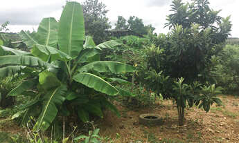 Imagem 2: Vendo lote 1.100 metros com Quartinho 59km de BH