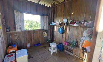 Imagem 2: Vendo Sítio de 35 Hectares no KM 100, Ramal São Bernardo. BR 319