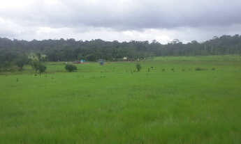 Imagem 3: Fazenda PA Marajó 100 mil hect