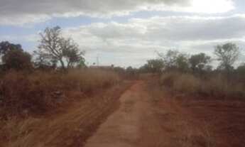 Imagem 5: Lote no Loteamento da Lagoa de 500 metros ao Lado da Cidade Verde uns 50 metros do asfal