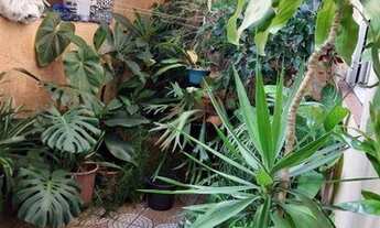 Imagem 3: Casa térrea à venda no Parque São Domingos