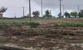 Imagem 5: Bosque do Coqueiral