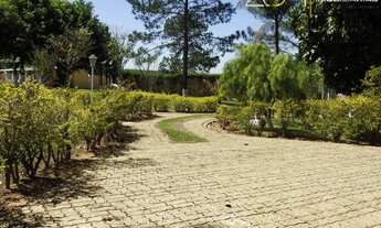 Imagem 2: Chácara linda á venda em Pardinho-SP