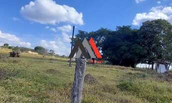 Imagem 4: Excelente lotes à venda!