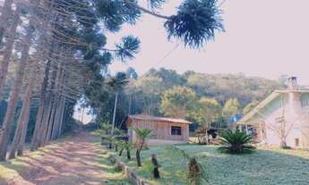 Imagem 5: Chácara com 1 dormitório à venda, 22000 m² por R$ 290.000,00 - Zona Rural - Agudos do Sul