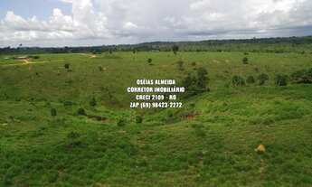 Imagem 2: 215 alqueires em Machadinho-RO