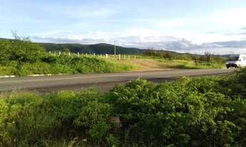 Imagem 3: Fazenda com 150 hectares em cachoeira do sapo na BR.304