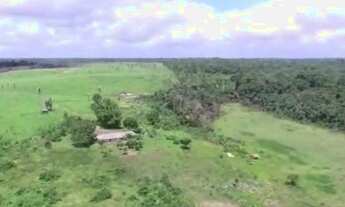 Imagem 2: R$2 milhões de reais fazenda a 80 km de Castanhal 50 alqueires