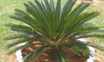 Imagem 3: Araçoiaba Chacara 1.000 m²