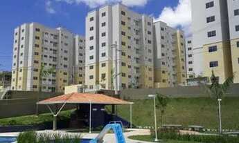 Imagem 2: Leve Castanheiras