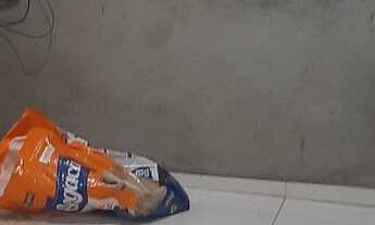 Imagem 6: VENDO CASA EM BARRA DO POJUCA /COMUNIDADE DO AREAL