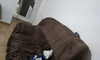 Imagem 5: Casa Terrea 3dorms