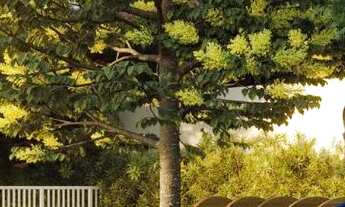 Imagem 3: AUR - Apt para venda com 38 metros quadrados com 1 quarto em Praia dos Carneiros - Tamanda