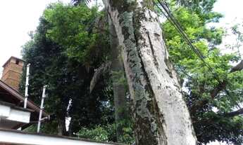 Imagem 6: Sobrado residencial para venda e locação, Penha de França, São Paulo - SO11727