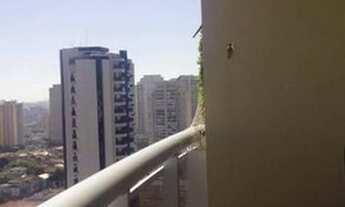 Imagem 2: São Paulo - Apartamento Padrão - Tatuapé