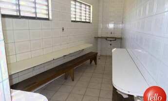 Imagem 4: São Paulo - Galpão/Depósito/Armazém - Cidade Líder