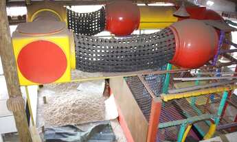 Imagem 2: Ponto comercial/Loja venda possui 250 metros quadrados em Laranjeiras - Uberlândia - MG