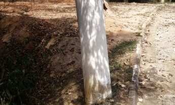 Imagem 6: Terreno no km 40 da rodovia Castelo Branco em condominio