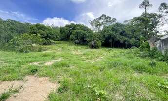 Imagem: FLORIANóPOLIS - Terreno Padrão - Santo