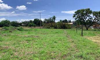 Imagem 7: Lote 26 de setembro