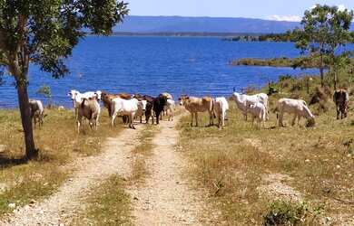 Imagem 7: Chacaras e lotes as margens do lago de serra da mesa