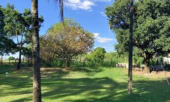 Imagem 6: Sítio dentro da cidade ótimo pra loteamento em Rio Preto - Próximo do Vila Azul!