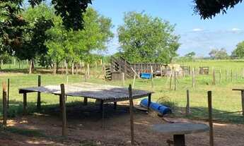 Imagem 4: Sítio dentro da cidade ótimo pra loteamento em Rio Preto - Próximo do Vila Azul!