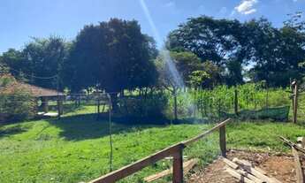 Imagem 3: Sítio dentro da cidade ótimo pra loteamento em Rio Preto - Próximo do Vila Azul!