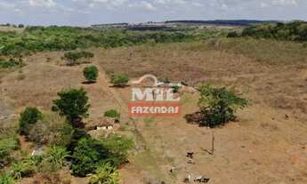 Imagem 2: Fazenda 17 Alqueires (82,28 hectares) Hidrolândia - GO