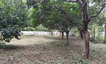 Imagem 3: Vendo chácara EPPN