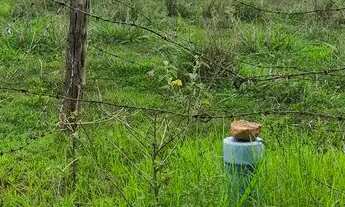 Imagem: Chácara, uruaçu Goiás 999.999,00