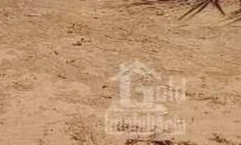 Imagem 4: Fazenda de 72 alqueires na cidade São Simão-SP