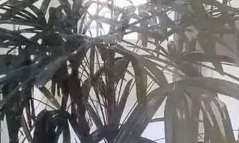 Imagem 6: IVS IMOBILIARIA ALUGA TRIPLEX EM VARGEM GRANDE