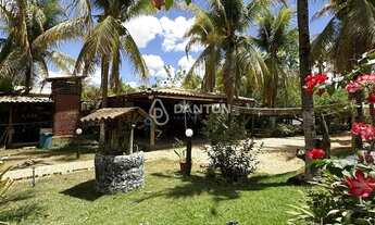 Imagem 4: Chácara à Venda - BR-251