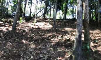 Imagem 6: Vendo terreno no tarumã comunidade Jeferson Perez