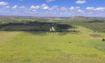 Imagem 3: FAZENDA PRODUTIVA DUPLA APTIDÃO 100 % PLANA - AGRICULTURA/PECUÁRIA - PLANALTINA GOIÁS